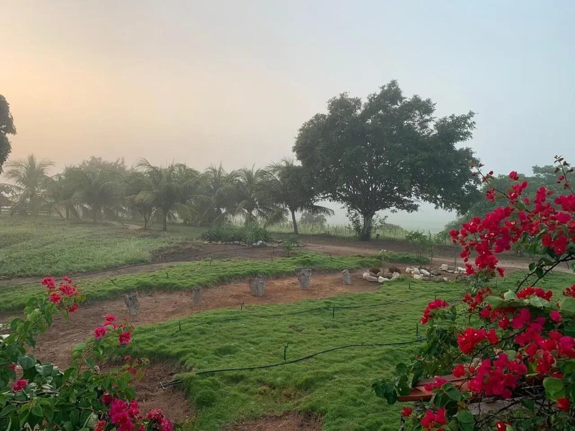 Fazenda à Venda em Canindé CE 1.130,04 hectares R 3.300.000,00