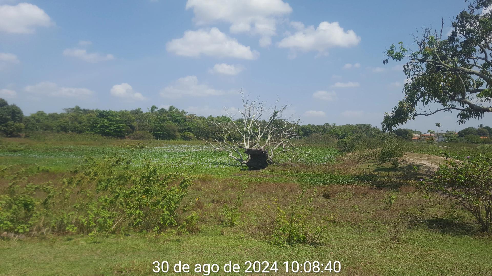 Lote/Terreno na Avenida Manoel Feliciano de Lima, SN, Camara em Aquiraz, por R$ 1.500/Mês - Viva Real