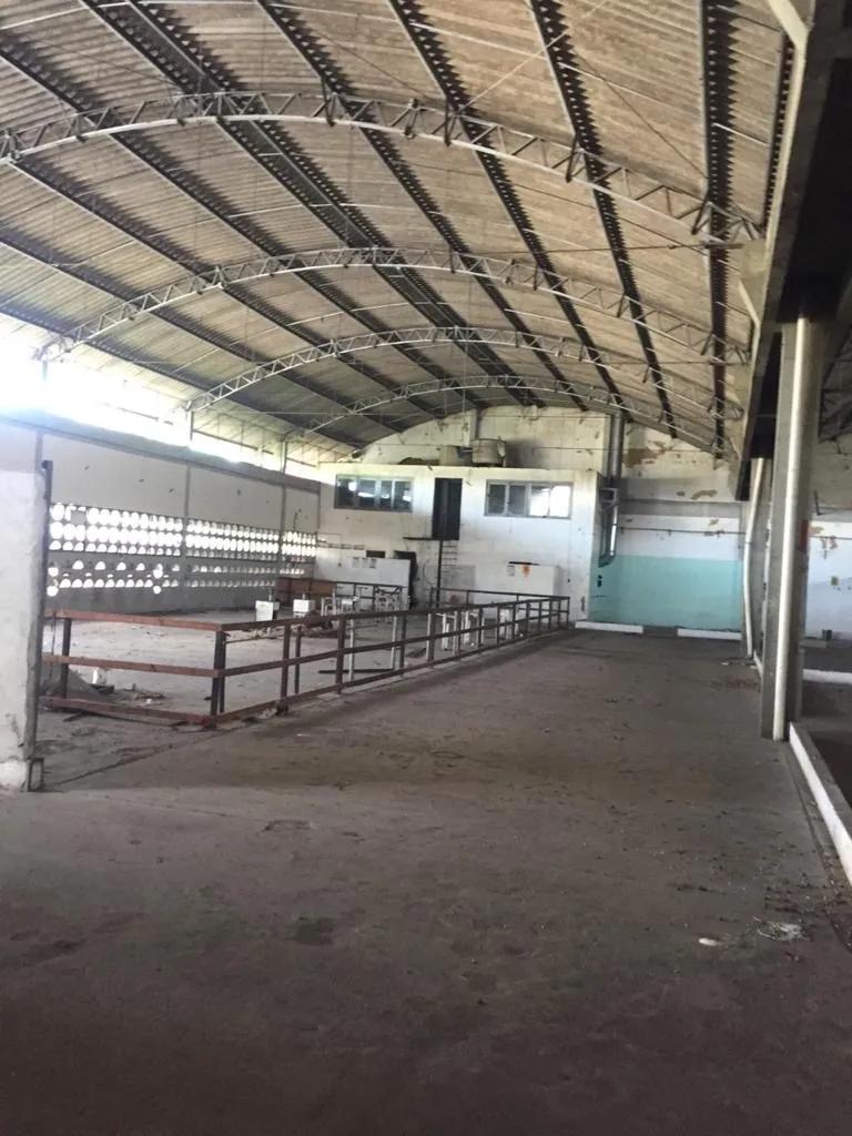 Galpão/Depósito/Armazém na Avenida Francisco Sá, 982, Barra do Ceará em Fortaleza, por R$ 16.000/Mês - Viva Real