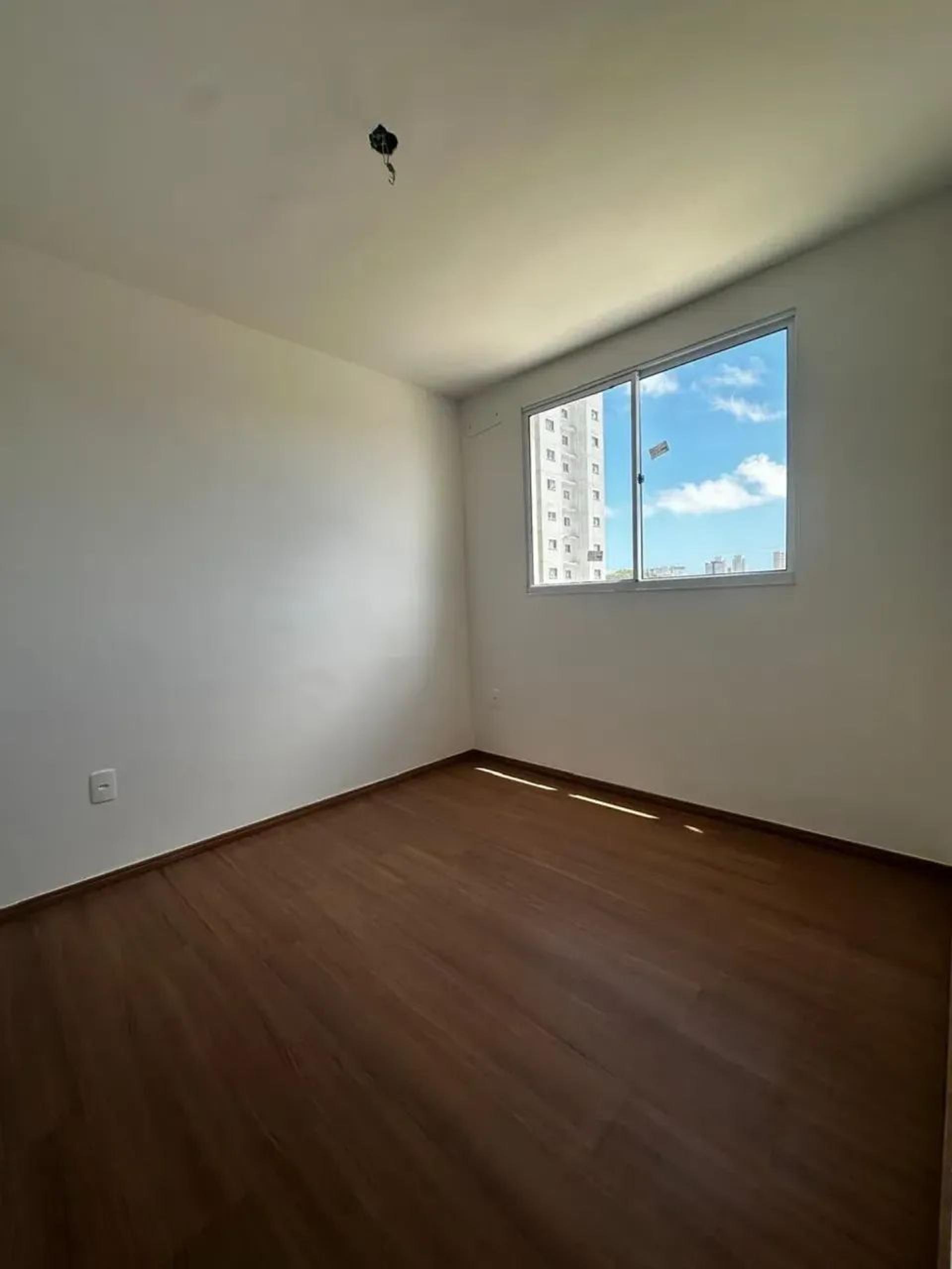 Apartamento Novo Para Alugar