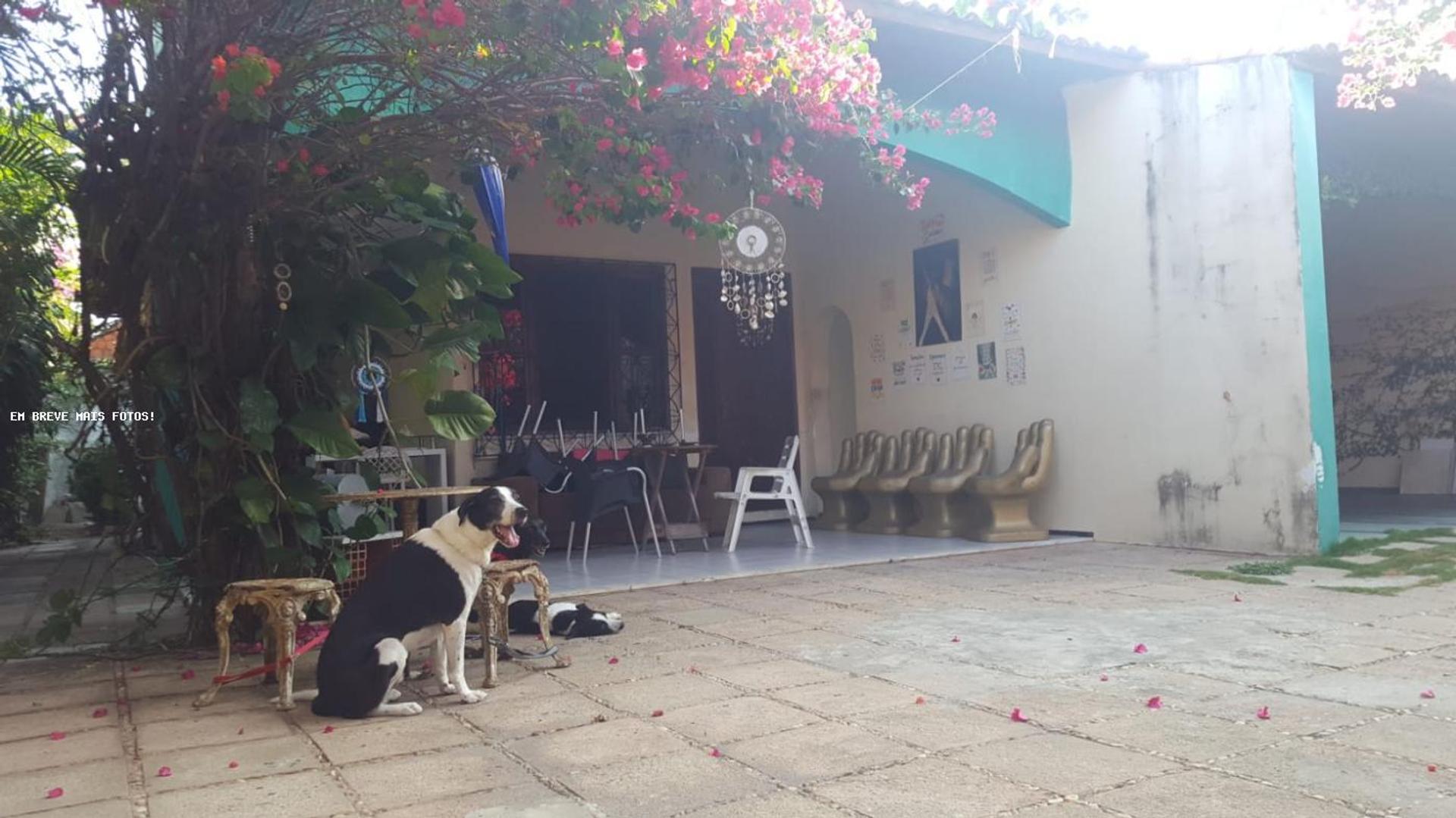 Casa para Venda, em Fortaleza, bairro Papicu, 4 dormitórios, 6 banheiros, 3 suítes, 5 vagas - foto 4