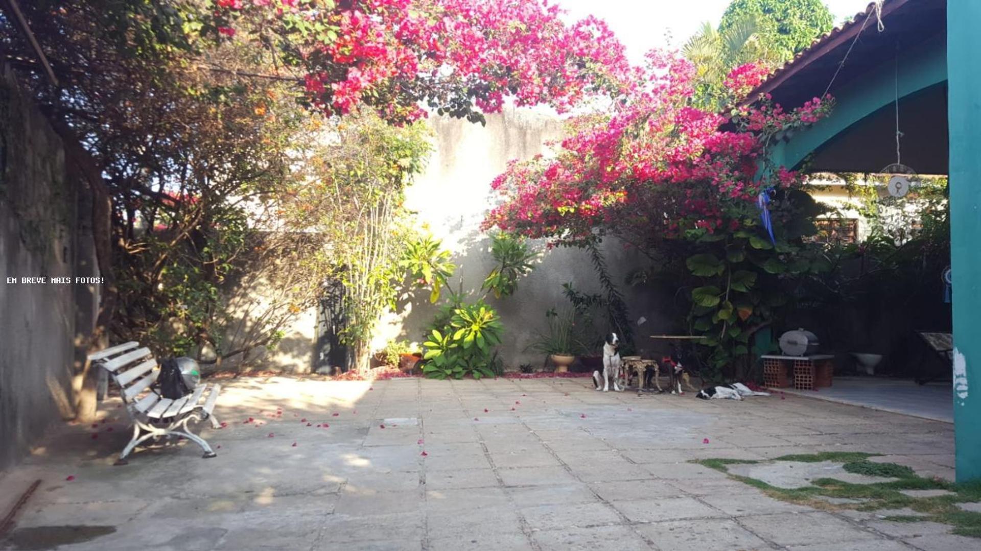 Casa para Venda, em Fortaleza, bairro Papicu, 4 dormitórios, 6 banheiros, 3 suítes, 5 vagas - foto 8