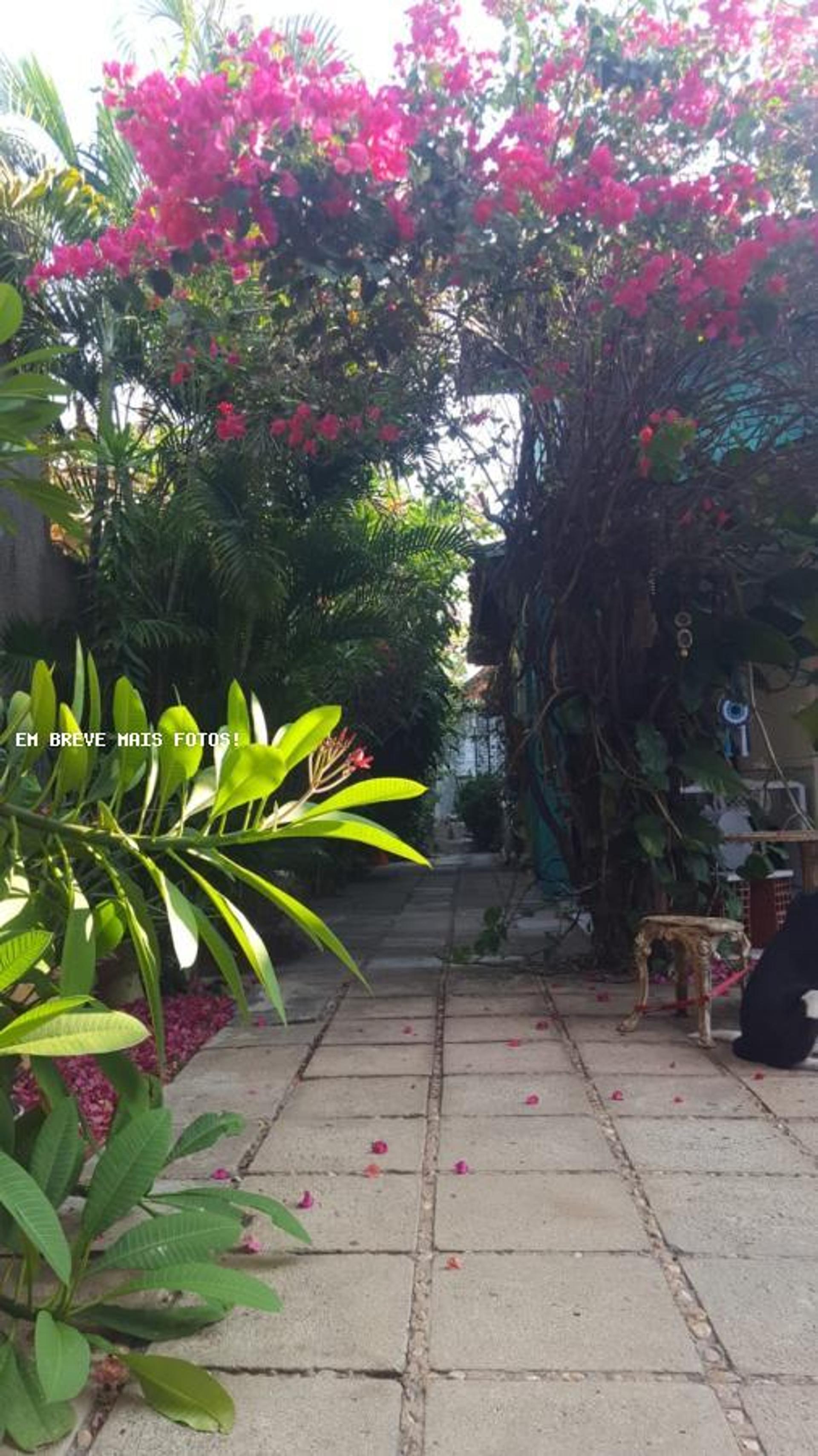 Casa para Venda, em Fortaleza, bairro Papicu, 4 dormitórios, 6 banheiros, 3 suítes, 5 vagas - foto 2