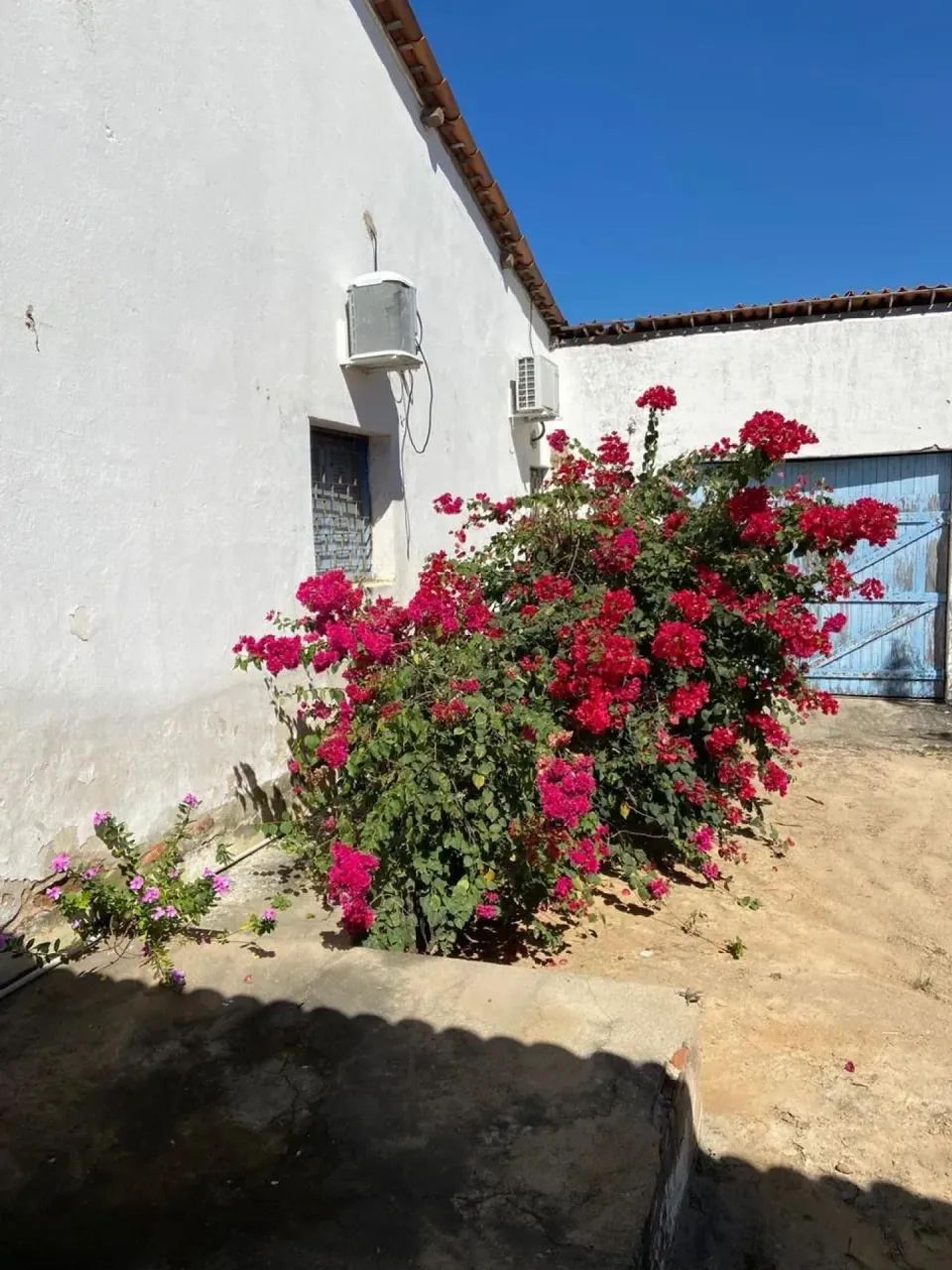 Fazenda à Venda em Canindé CE 1.130,04 hectares R 3.300.000,00