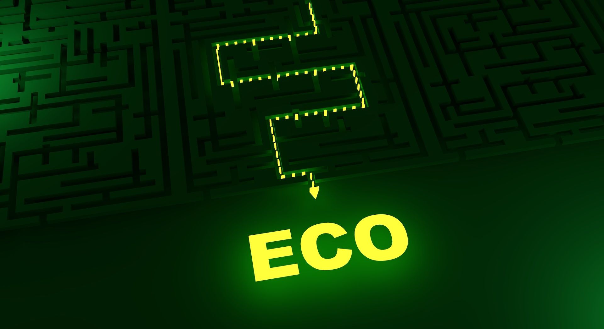 ECO Friendly Lighting Display