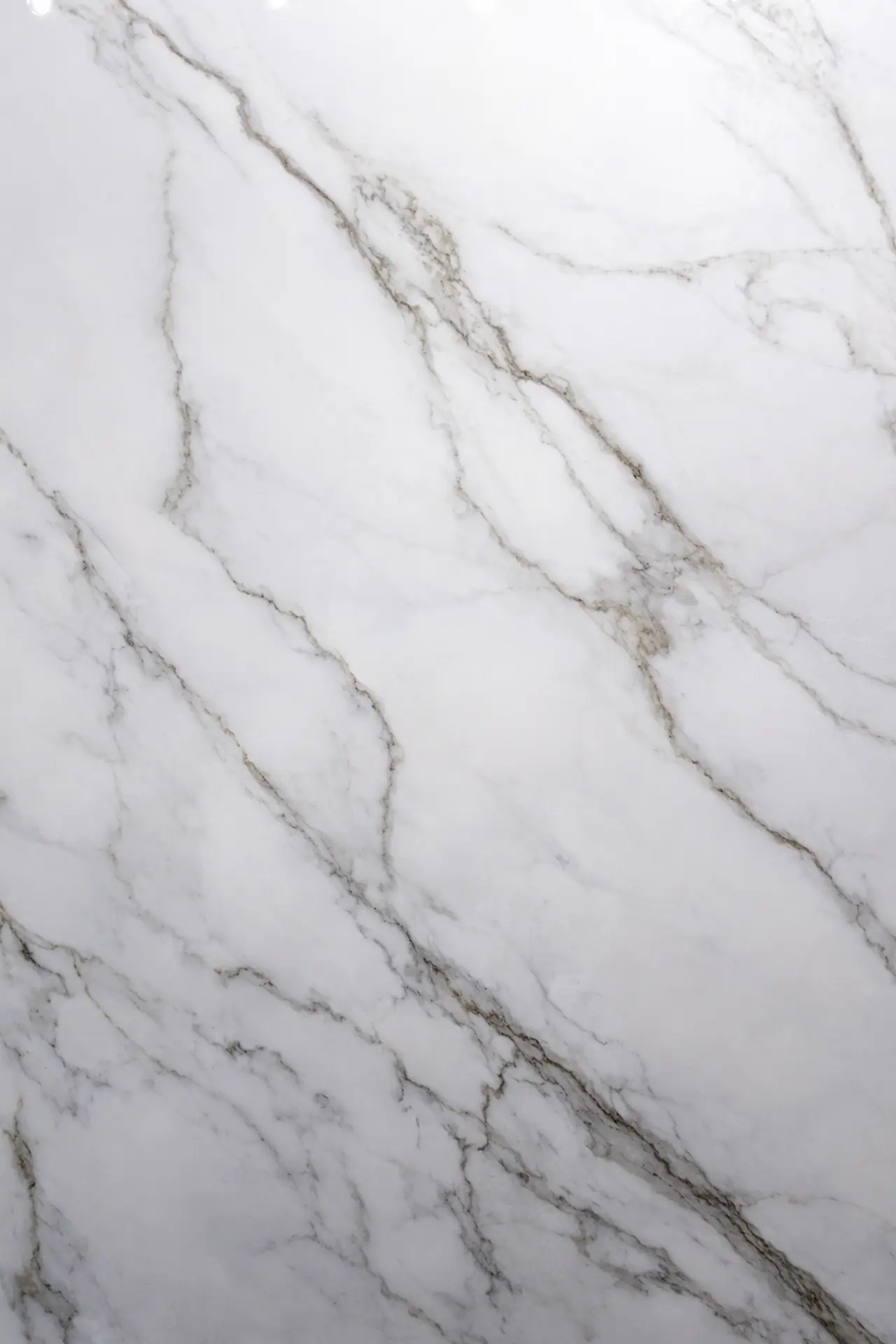 Calacatta White Polido