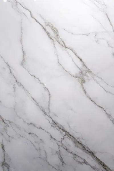 Calacatta White Polido