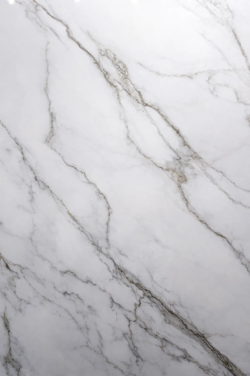 Calacatta White Polido