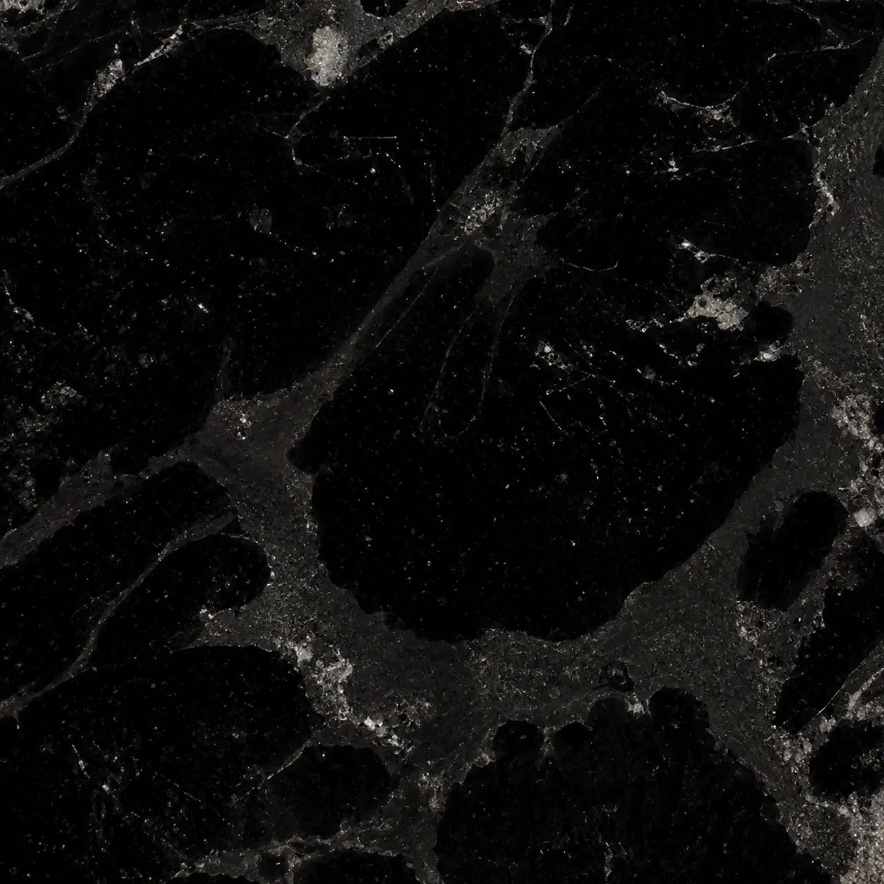 Python Black 