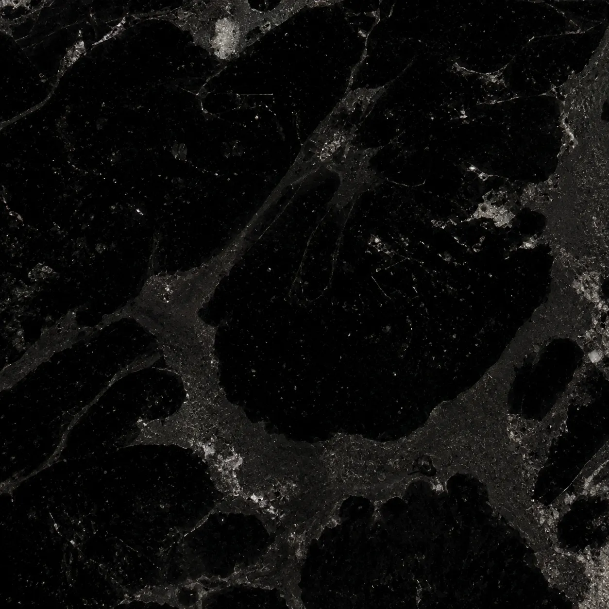 Python Black 