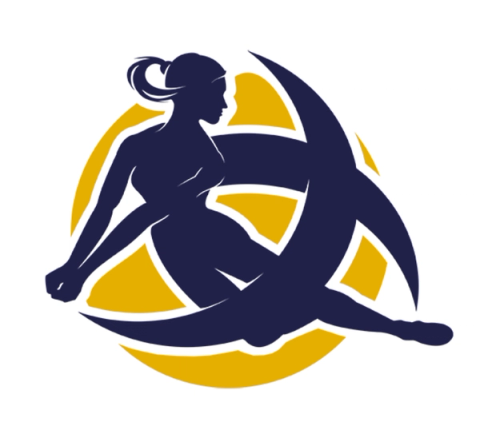 Logo Bordeaux-Mérignac Pro A