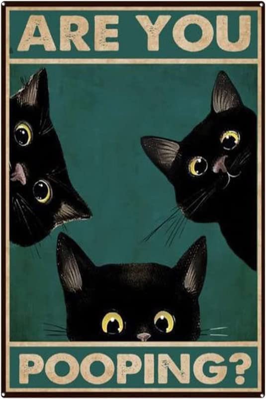 Aoevc Retro Tin Sign Vintage Black Cat are You Pooping Signs​​​​‌﻿‍﻿​‍​‍‌‍﻿﻿‌﻿​‍‌‍‍‌‌‍‌﻿‌‍‍‌‌‍﻿‍​‍​‍​﻿‍‍​‍​‍‌﻿​﻿‌‍​‌‌‍﻿‍‌‍‍‌‌﻿‌​‌﻿‍‌​‍﻿‍‌‍‍‌‌‍﻿﻿​‍​‍​‍﻿​​‍​‍‌‍‍​‌﻿​‍‌‍‌‌‌‍‌‍​‍​‍​﻿‍‍​‍​‍‌‍‍​‌﻿‌​‌﻿‌​‌﻿​​‌﻿​﻿​﻿‍‍​‍﻿﻿​‍﻿﻿‌‍‌﻿‌‍‌‌‌‍﻿‍‌‍‍‌‌‍‌‌‌﻿​‍‌‍‌‌‌‍﻿‌‌‍‍‌‌﻿‍​​‍﻿‌‌﻿​﻿‌﻿‌​‌﻿‌‌‌‍‌​‌‍‍‌‌‍﻿﻿​‍﻿‍‌﻿‌‍‌‍‌‌‌﻿​‍‌‍​﻿‌‍‌‌‌‍﻿​​‍﻿‍‌‍​‌‌﻿​​‌﻿​​​‍﻿﻿‌‍‍‌‌‍﻿‍‌﻿‌​‌‍‌‌‌‍﻿‍‌﻿‌​​‍﻿﻿‌‍‌‌‌‍‌​‌‍‍‌‌﻿‌​​‍﻿﻿‌‍﻿‌‌‍﻿﻿‌‍‌​‌‍‌‌​﻿﻿‌‌﻿​​‌﻿​‍‌‍‌‌‌﻿​﻿‌‍‌‌‌‍﻿‍‌﻿‌​‌‍​‌‌﻿‌​‌‍‍‌‌‍﻿﻿‌‍﻿‍​﻿‍﻿‌‍‍‌‌‍‌​​﻿﻿‌​﻿​‌​﻿​‍​﻿‍‌​﻿‌​‌‍‌​‌‍‌​‌‍‌‍‌‍‌‌​‍﻿‌​﻿​﻿​﻿‌‍​﻿‌‌‌‍​‌​‍﻿‌​﻿‌​‌‍‌‍​﻿​‍‌‍​﻿​‍﻿‌‌‍​‍​﻿‌‌​﻿‌﻿​﻿​‌​‍﻿‌​﻿‍‌​﻿​​‌‍‌‍​﻿‍​‌‍‌‍​﻿‌﻿​﻿​‌​﻿‌‌‌‍​﻿​﻿​‍​﻿​‌​﻿​﻿​﻿‍﻿‌﻿‌​‌﻿‍‌‌﻿​​‌‍‌‌​﻿﻿‌‌﻿​​‌‍﻿﻿‌﻿​﻿‌﻿‌​​﻿‍﻿‌﻿​​‌‍​‌‌﻿‌​‌‍‍​​﻿﻿‌‌‍​‍‌‍﻿﻿‌‍‌​‌﻿‍‌​‍‌‌​﻿‌‌‌​​‍‌‌﻿﻿‌‍‍﻿‌‍‌‌‌﻿‍‌​‍‌‌​﻿​﻿‌​‌​​‍‌‌​﻿​﻿‌​‌​​‍‌‌​﻿​‍​﻿​‍‌‍‌‌‌‍​﻿​﻿​‍‌‍​﻿​﻿​‍‌‍‌‌​﻿‌​‌‍‌​‌‍‌‍​﻿​﻿​﻿‍​​﻿​‌​‍‌‌​﻿​‍​﻿​‍​‍‌‌​﻿‌‌‌​‌​​‍﻿‍‌‍​﻿‌‍​‌‌﻿​‍‌‍﻿﻿‌﻿‌‌‌﻿​﻿‌‍‌‌‌‍﻿​​‍‌‌​﻿‌‌‌​​‍‌‌﻿﻿‌‍‍﻿‌‍‌‌‌﻿‍‌​‍‌‌​﻿​﻿‌​‌​​‍‌‌​﻿​﻿‌​‌​​‍‌‌​﻿​‍​﻿​‍‌‍​‌‌‍‌​‌‍‌‌​﻿‌﻿​﻿‌‌‌‍​‍​﻿‍​​﻿‌​‌‍‌​​﻿‌﻿​﻿​‍​﻿‍​​‍‌‌​﻿​‍​﻿​‍​‍‌‌​﻿‌‌‌​‌​​‍﻿‍‌‍​﻿‌‍​‌‌﻿​​‌﻿‌​‌‍‍‌‌‍﻿﻿‌‍﻿‍​﻿﻿﻿‌‍​‍‌‍​‌‌﻿​﻿‌‍‌‌‌‌‌‌‌﻿​‍‌‍﻿​​﻿﻿‌‌‍‍​‌﻿‌​‌﻿‌​‌﻿​​‌﻿​﻿​‍‌‌​﻿​﻿‌​​‌​‍‌‌​﻿​‍‌​‌‍​‍‌‌​﻿​‍‌​‌‍‌‍‌﻿‌‍‌‌‌‍﻿‍‌‍‍‌‌‍‌‌‌﻿​‍‌‍‌‌‌‍﻿‌‌‍‍‌‌﻿‍​​‍﻿‌‌﻿​﻿‌﻿‌​‌﻿‌‌‌‍‌​‌‍‍‌‌‍﻿﻿​‍﻿‍‌﻿‌‍‌‍‌‌‌﻿​‍‌‍​﻿‌‍‌‌‌‍﻿​​‍﻿‍‌‍​‌‌﻿​​‌﻿​​​‍‌‍‌‍‍‌‌‍‌​​﻿﻿‌​﻿​‌​﻿​‍​﻿‍‌​﻿‌​‌‍‌​‌‍‌​‌‍‌‍‌‍‌‌​‍﻿‌​﻿​﻿​﻿‌‍​﻿‌‌‌‍​‌​‍﻿‌​﻿‌​‌‍‌‍​﻿​‍‌‍​﻿​‍﻿‌‌‍​‍​﻿‌‌​﻿‌﻿​﻿​‌​‍﻿‌​﻿‍‌​﻿​​‌‍‌‍​﻿‍​‌‍‌‍​﻿‌﻿​﻿​‌​﻿‌‌‌‍​﻿​﻿​‍​﻿​‌​﻿​﻿​‍‌‍‌﻿‌​‌﻿‍‌‌﻿​​‌‍‌‌​﻿﻿‌‌﻿​​‌‍﻿﻿‌﻿​﻿‌﻿‌​​‍‌‍‌﻿​​‌‍​‌‌﻿‌​‌‍‍​​﻿﻿‌‌‍​‍‌‍﻿﻿‌‍‌​‌﻿‍‌​‍‌‌​﻿‌‌‌​​‍‌‌﻿﻿‌‍‍﻿‌‍‌‌‌﻿‍‌​‍‌‌​﻿​﻿‌​‌​​‍‌‌​﻿​﻿‌​‌​​‍‌‌​﻿​‍​﻿​‍‌‍‌‌‌‍​﻿​﻿​‍‌‍​﻿​﻿​‍‌‍‌‌​﻿‌​‌‍‌​‌‍‌‍​﻿​﻿​﻿‍​​﻿​‌​‍‌‌​﻿​‍​﻿​‍​‍‌‌​﻿‌‌‌​‌​​‍﻿‍‌‍​﻿‌‍​‌‌﻿​‍‌‍﻿﻿‌﻿‌‌‌﻿​﻿‌‍‌‌‌‍﻿​​‍‌‌​﻿‌‌‌​​‍‌‌﻿﻿‌‍‍﻿‌‍‌‌‌﻿‍‌​‍‌‌​﻿​﻿‌​‌​​‍‌‌​﻿​﻿‌​‌​​‍‌‌​﻿​‍​﻿​‍‌‍​‌‌‍‌​‌‍‌‌​﻿‌﻿​﻿‌‌‌‍​‍​﻿‍​​﻿‌​‌‍‌​​﻿‌﻿​﻿​‍​﻿‍​​‍‌‌​﻿​‍​﻿​‍​‍‌‌​﻿‌‌‌​‌​​‍﻿‍‌‍​﻿‌‍​‌‌﻿​​‌﻿‌​‌‍‍‌‌‍﻿﻿‌‍﻿‍​‍​‍‌﻿﻿‌