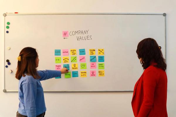 The Scripts, The Data, and How to Stop Leaving Money on the Table