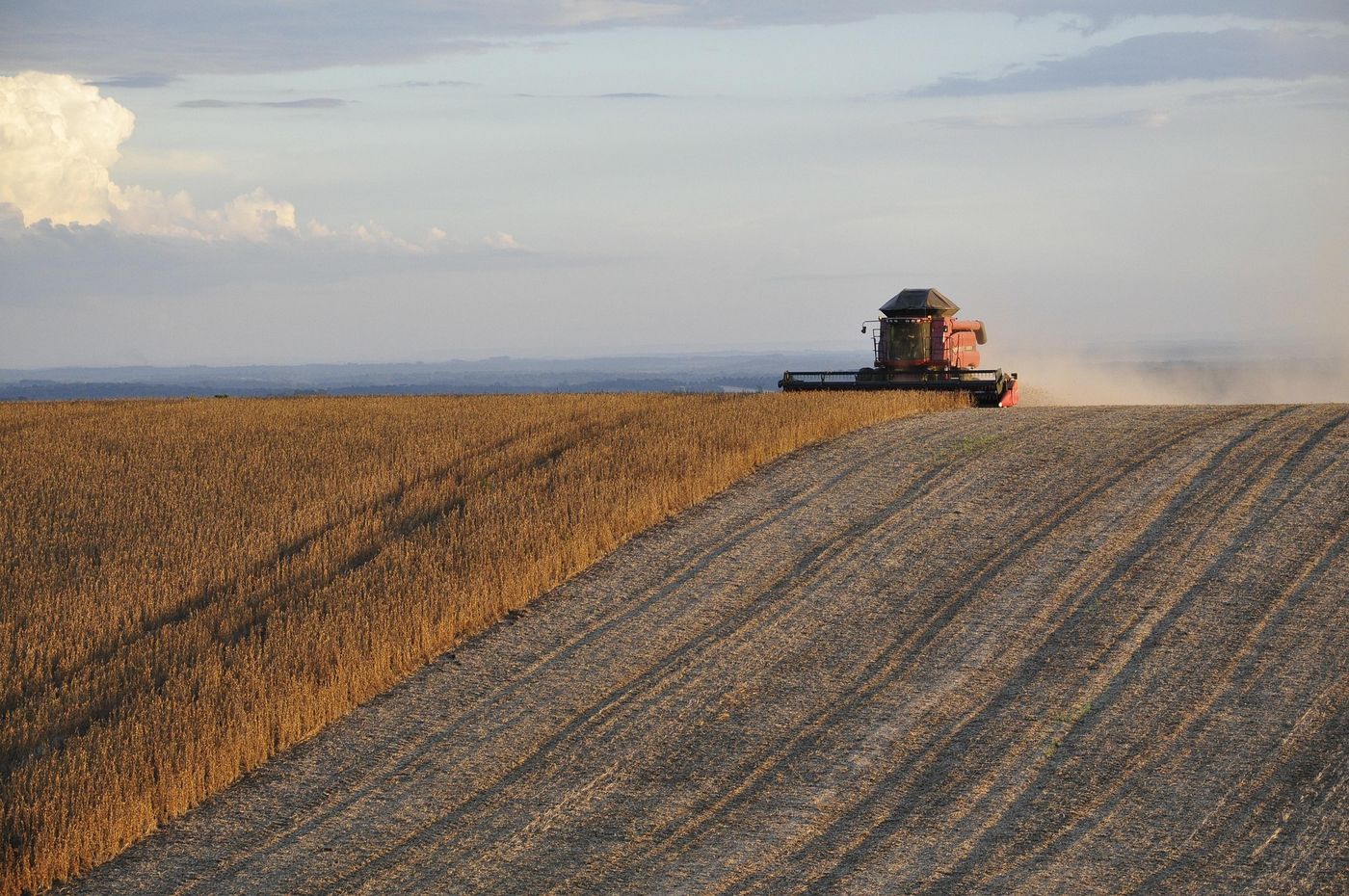 A header harvesting a crop, with the cut paddock in the foreground