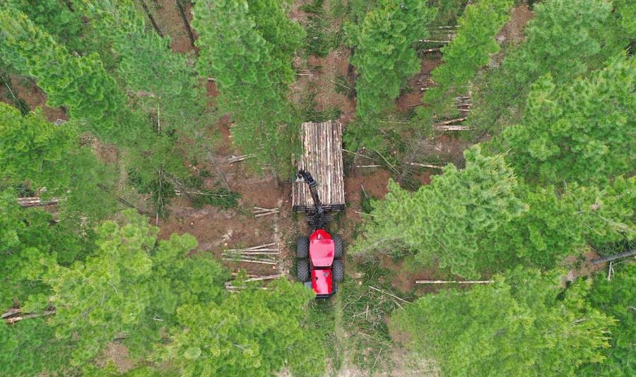 A logging operation in the bush