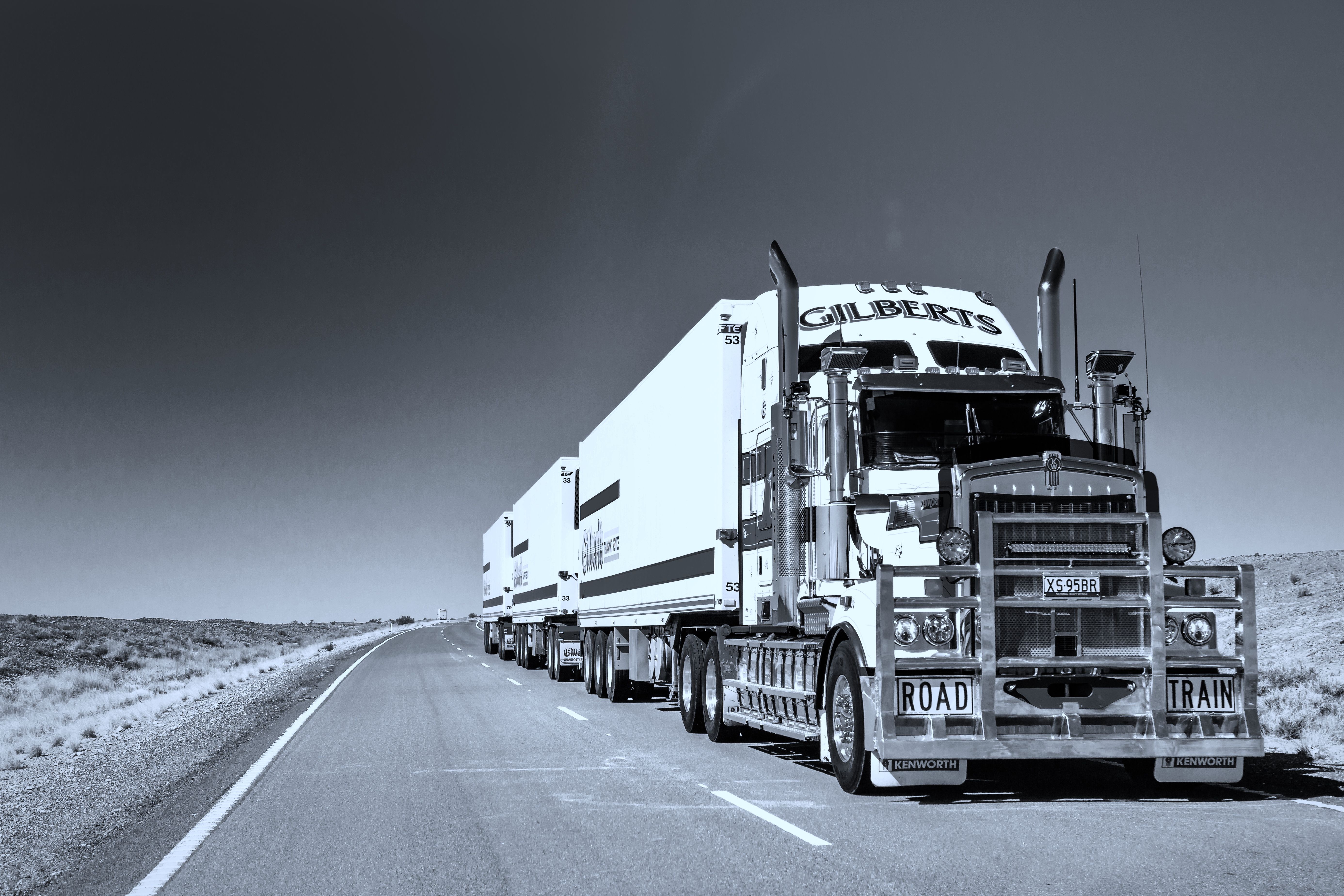 Fuellox unit for transport and fleet fuel management