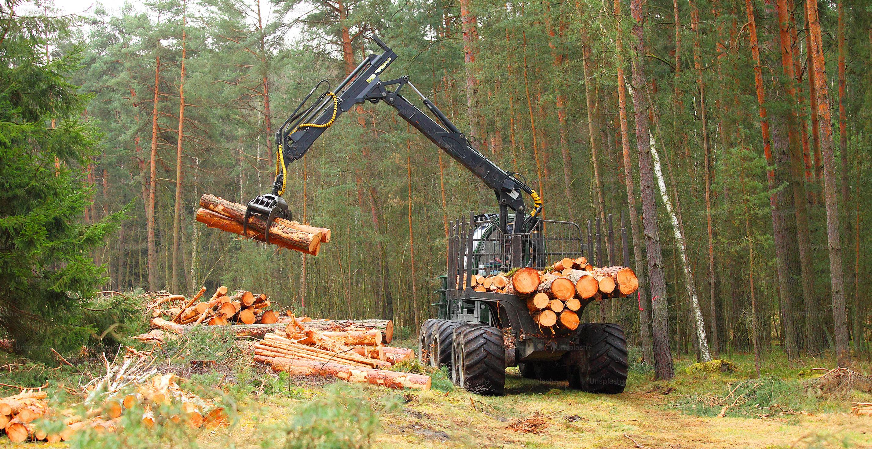 Fuellox Forestry fuel management