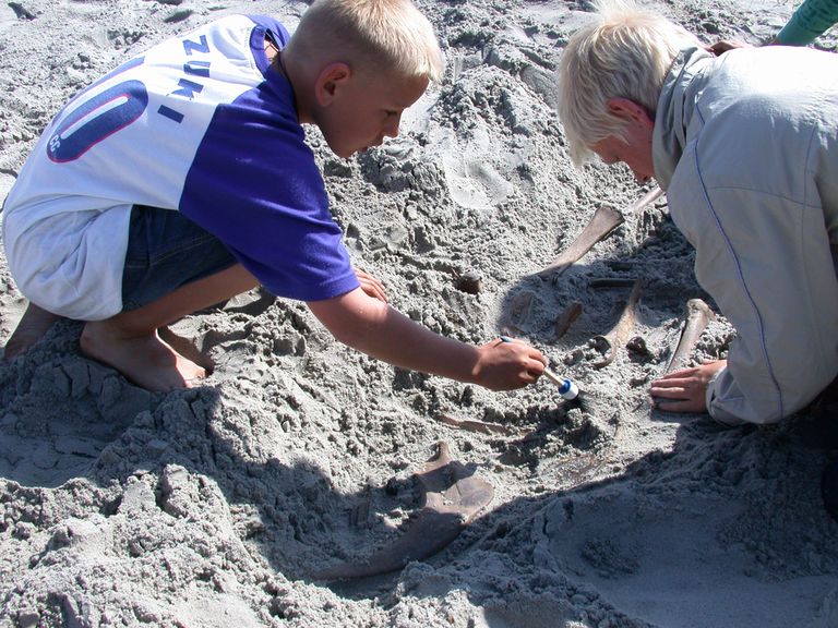 Arkæologi på Trelleborg