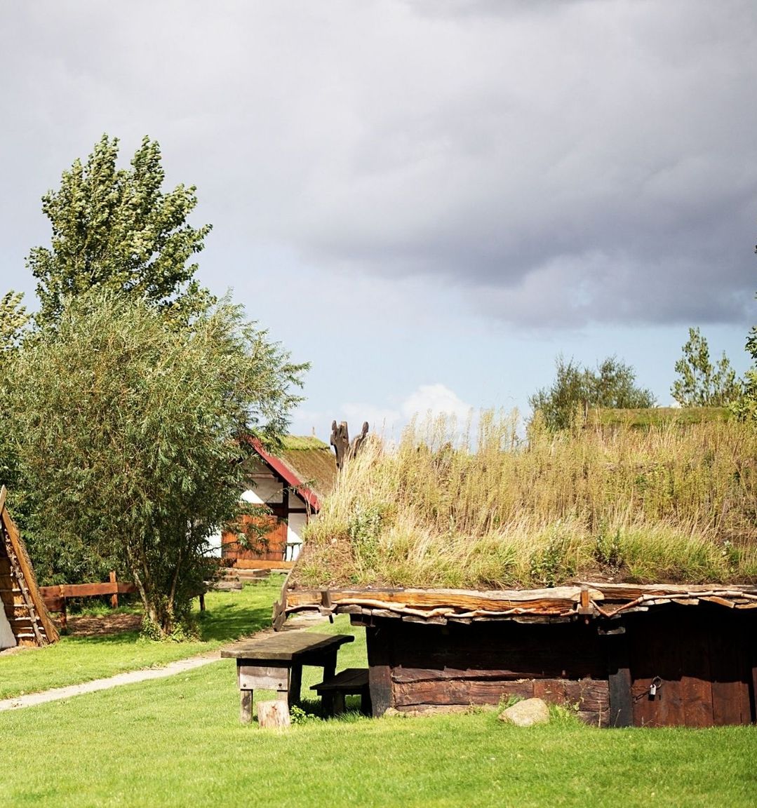 Vikingehuse med trekantet tage ned mod jorden i solen