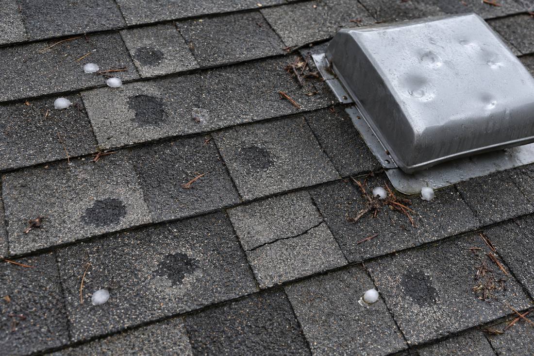 Hail damage on an asphalt shingle roof, with granule bruising, hailstones and a dented vent cap