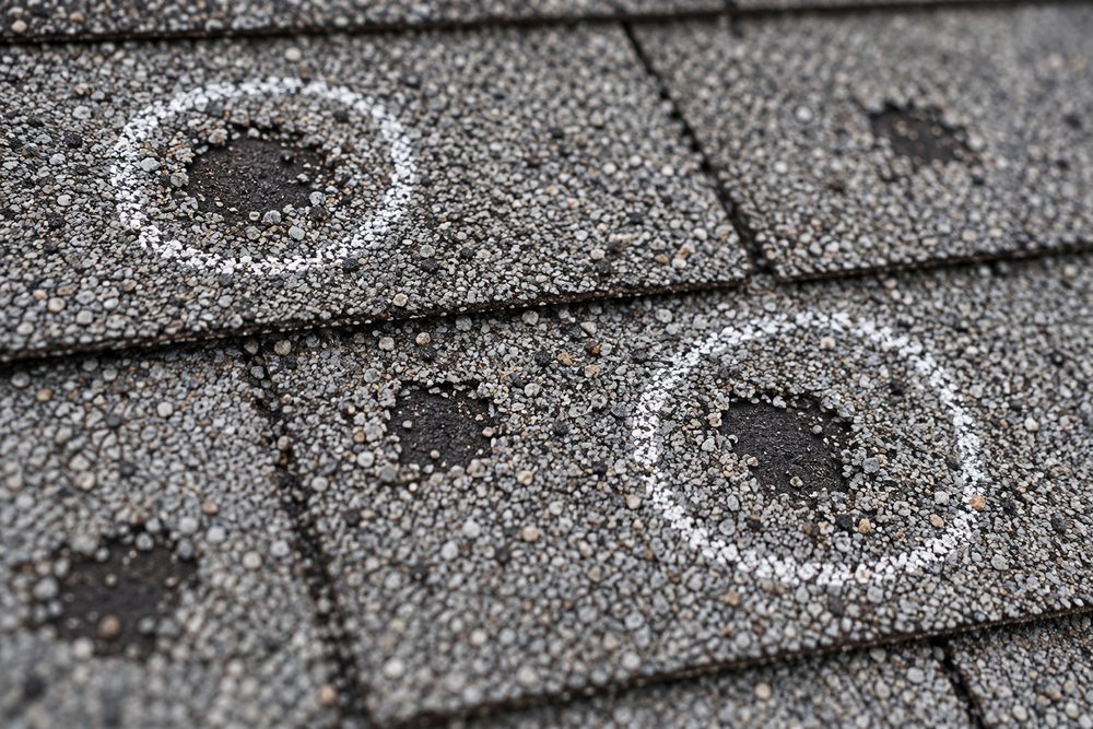 Grey asphalt shingles with round hail impact marks where the granules have been knocked away, two of them circled in white chalk