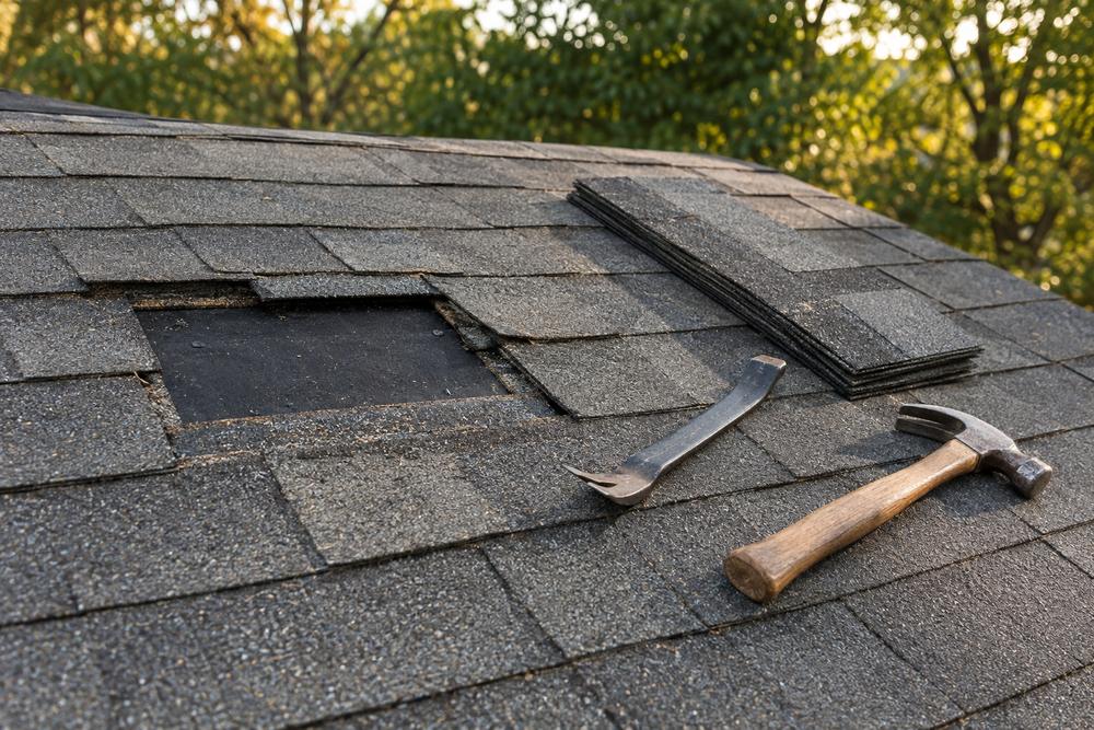 Shingle repair in progress with a section lifted to expose the underlayment