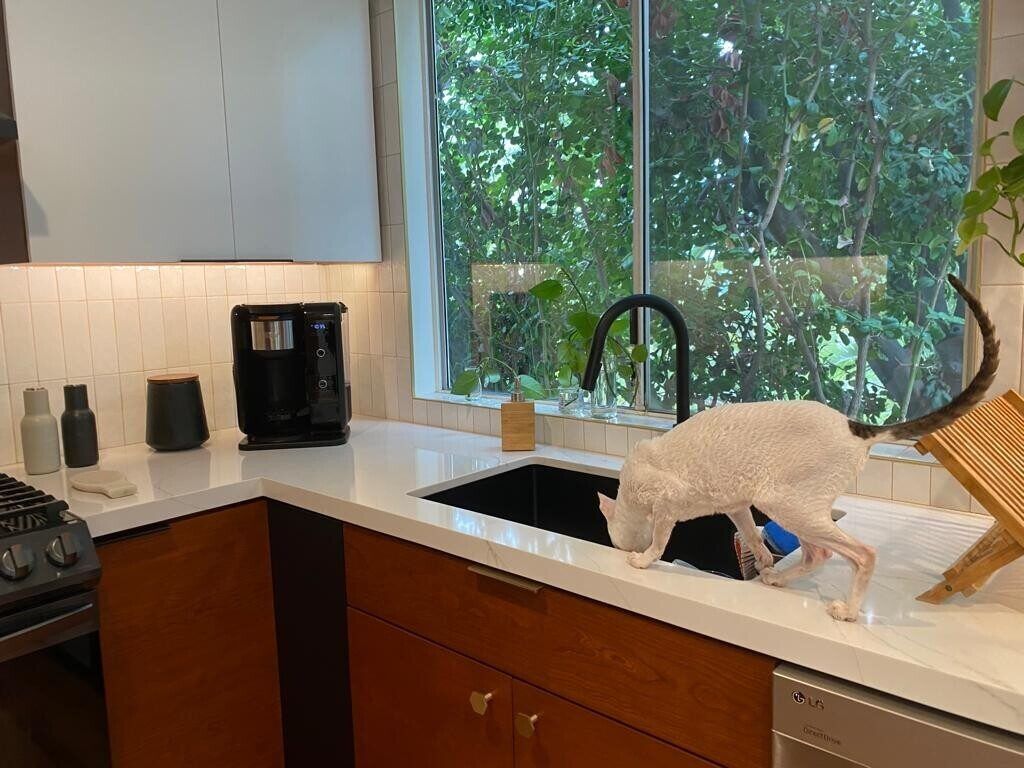 Kitchen Remodel by Bela Development — Project 2 project photo 10