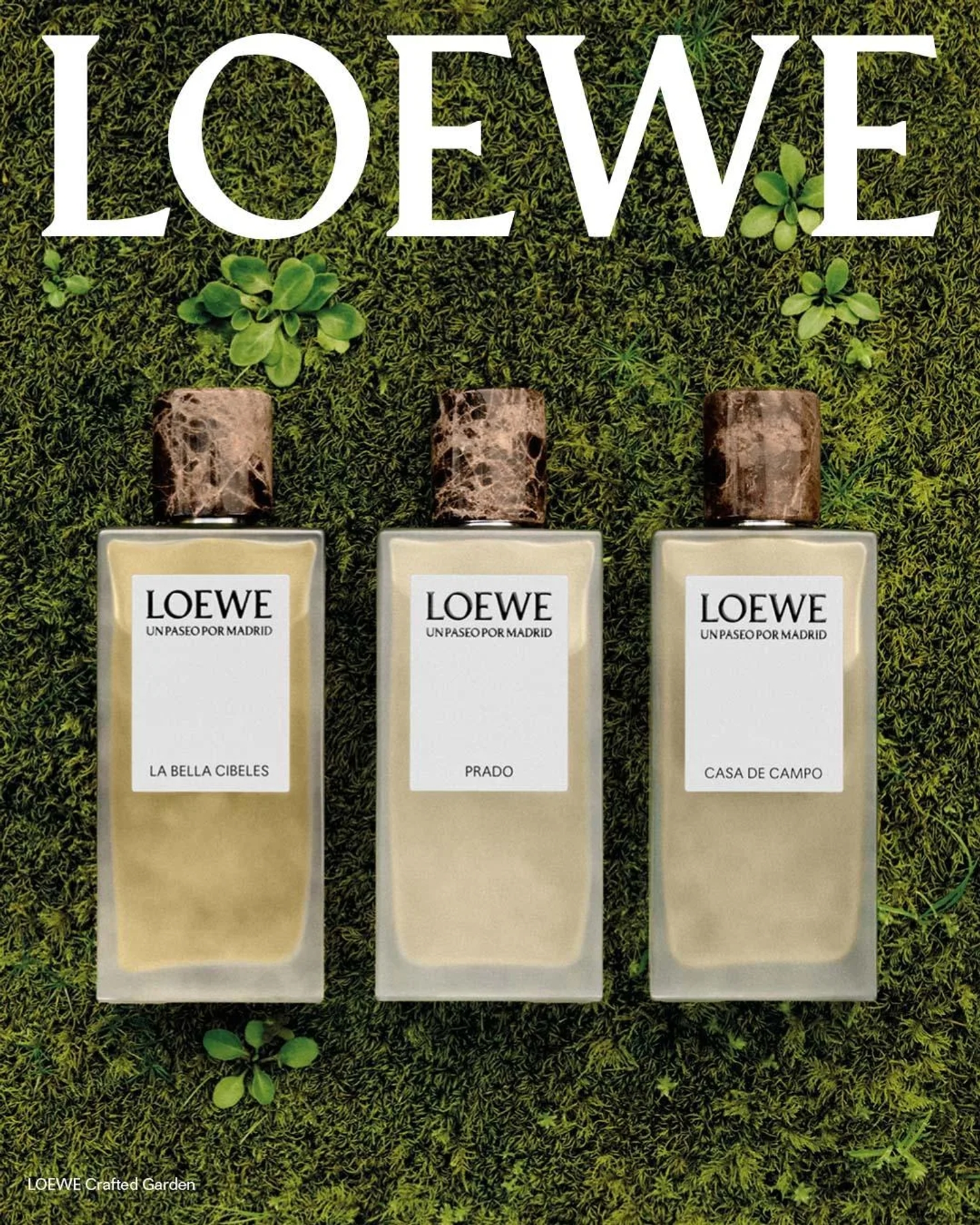 1080x1350_perfumesloewe
