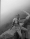 ICON_-In_The_Mist_03_Pablo_Zamora_Thisissample