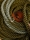 StillLifes_MassimoDutti_13_Yago_Castromil_thisissample