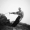 ICON_-In_The_Mist_07_Pablo_Zamora_Thisissample