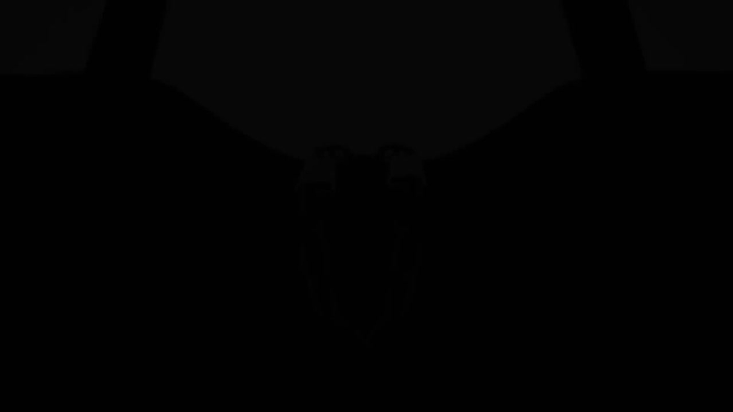 file.mp4-1080p