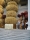 CORDERO_ATELIER_EL_PRADO_1091