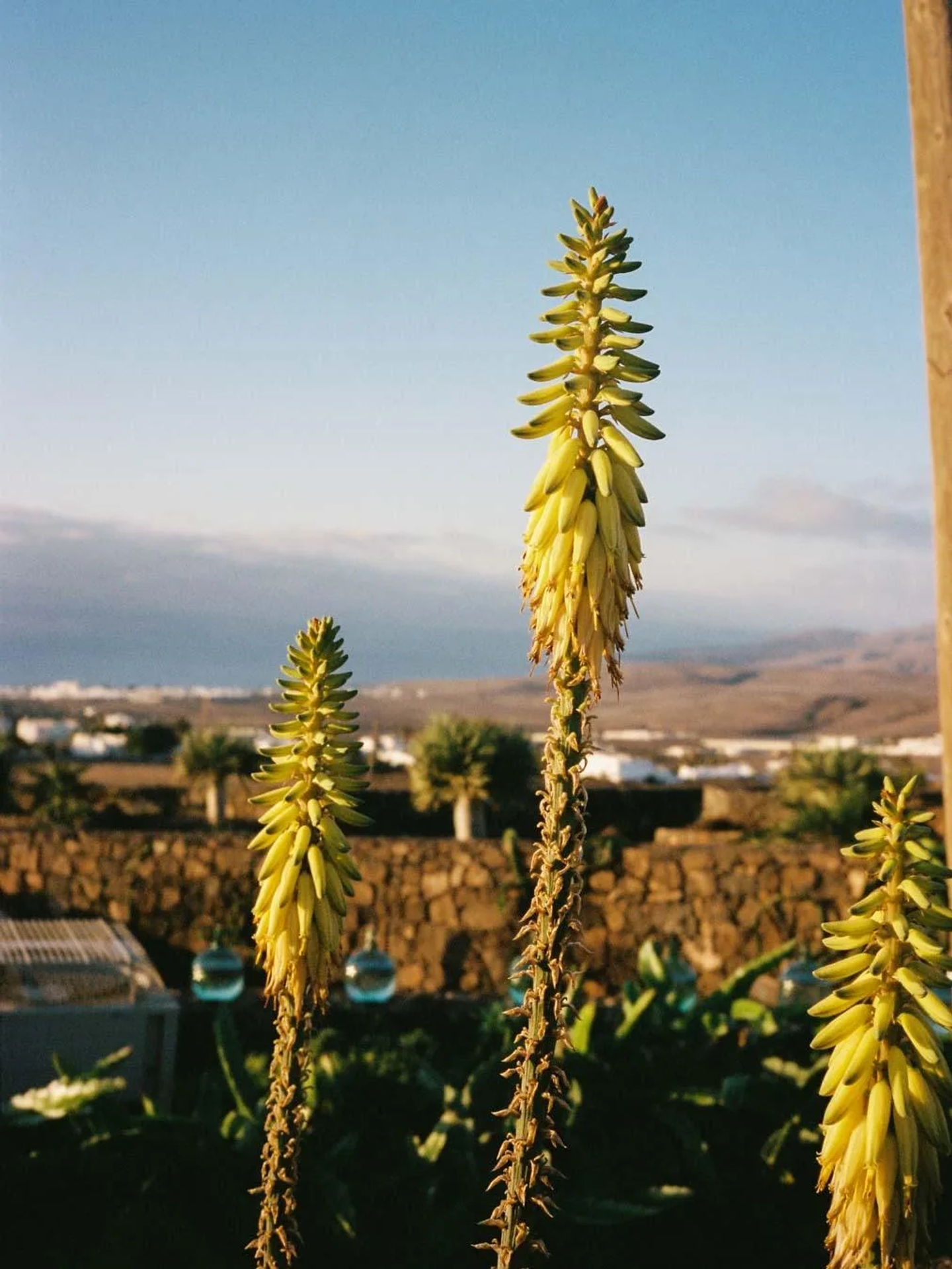 894_7-Traveler-Lanzarote-863