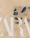 2025.01.15_ZARA-JOIN-LIFE-SS25_OPERATIONS_0383