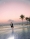 2018_EPS_ROBERTO-SIPOS_010