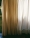 000024470012-1-R1-scaled