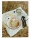 Zara_Home_x_Adventure_Gear_7