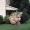 Traveller_Zachary_Quinto_3_Pablo_Zamora_Sample-2