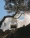 ad-serge-castella-begur-altas-23