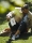 ICON_Hugo_Silva_04_Yago_castromil_Thisissample