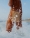 0001_Pablo-Curto_HEREU_01