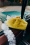 3PARFOIS_STILL-LIFE_04_0003
