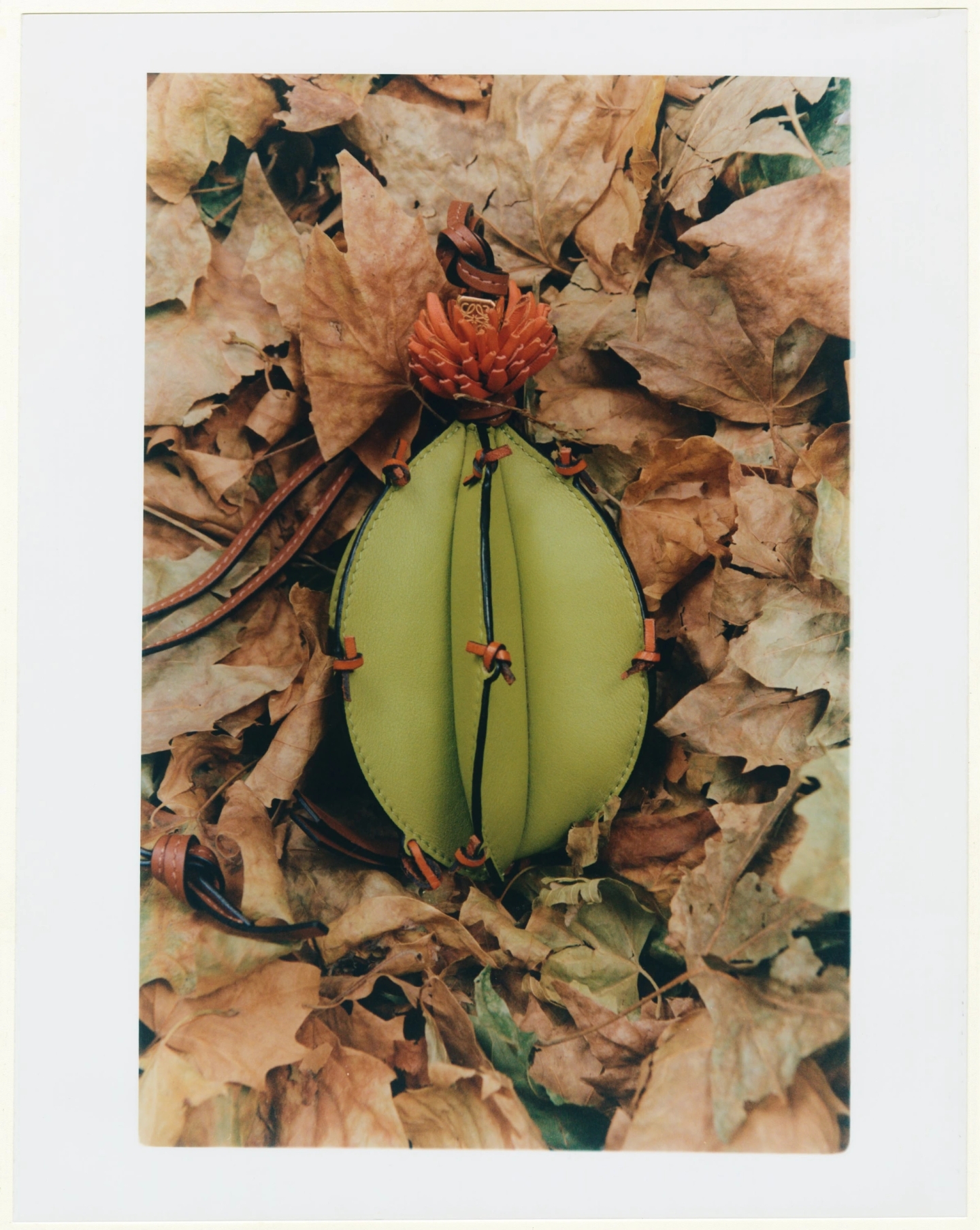 Loewe_x_Document_Journal_2