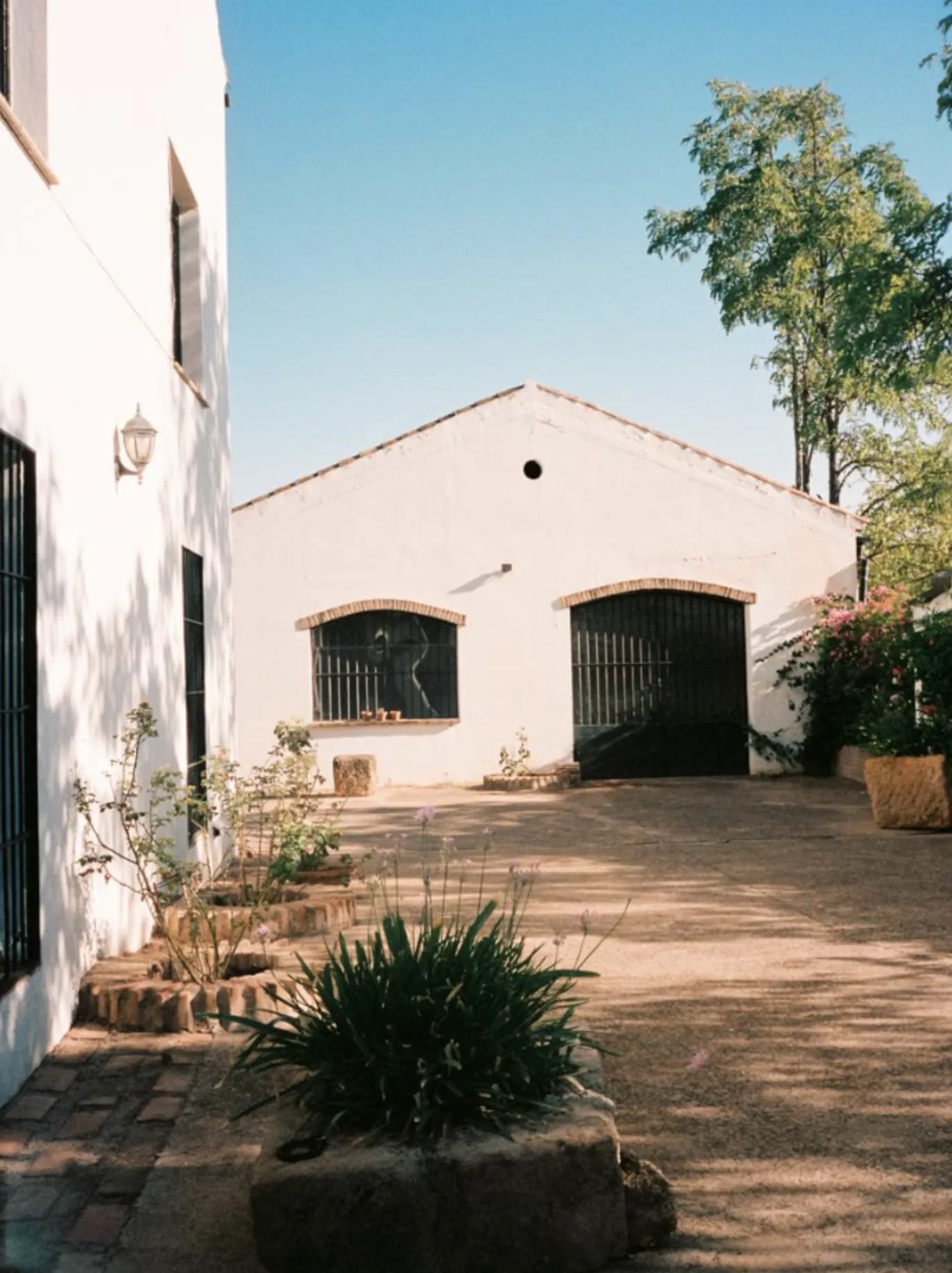 Sample-Palomo-Spain-Apartamento-13