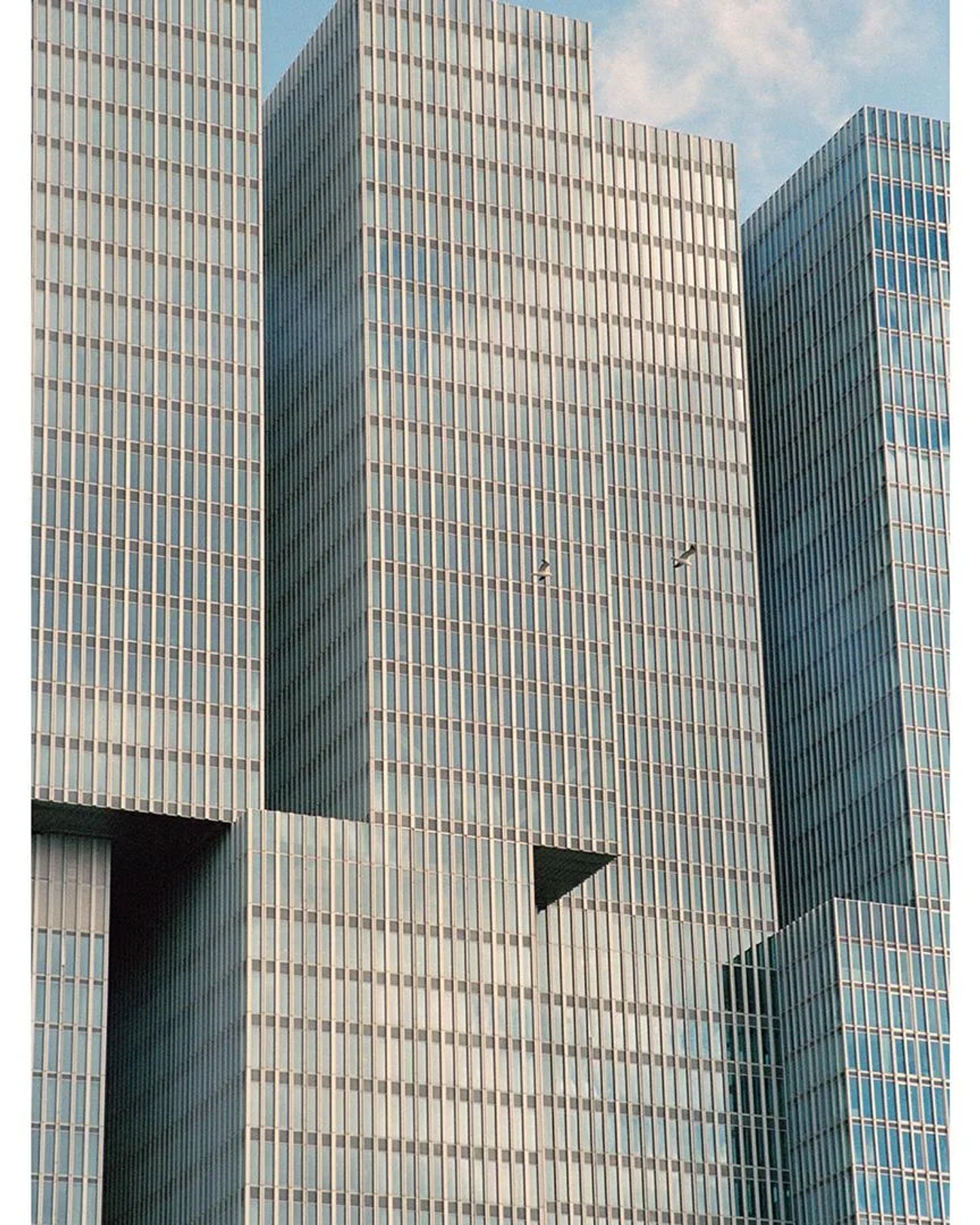 ISIMG-819981