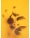 ISIMG-739562