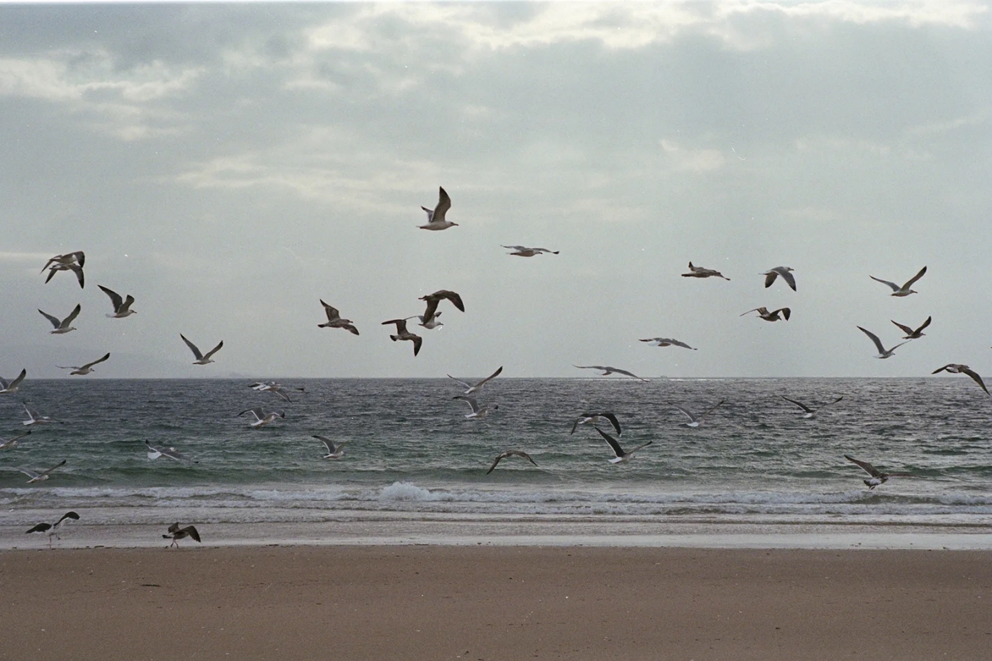 Traveler_A_Costa_Da_Morte_4_Yago_Castromil_Thisissample