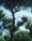 000032-4-R1-scaled