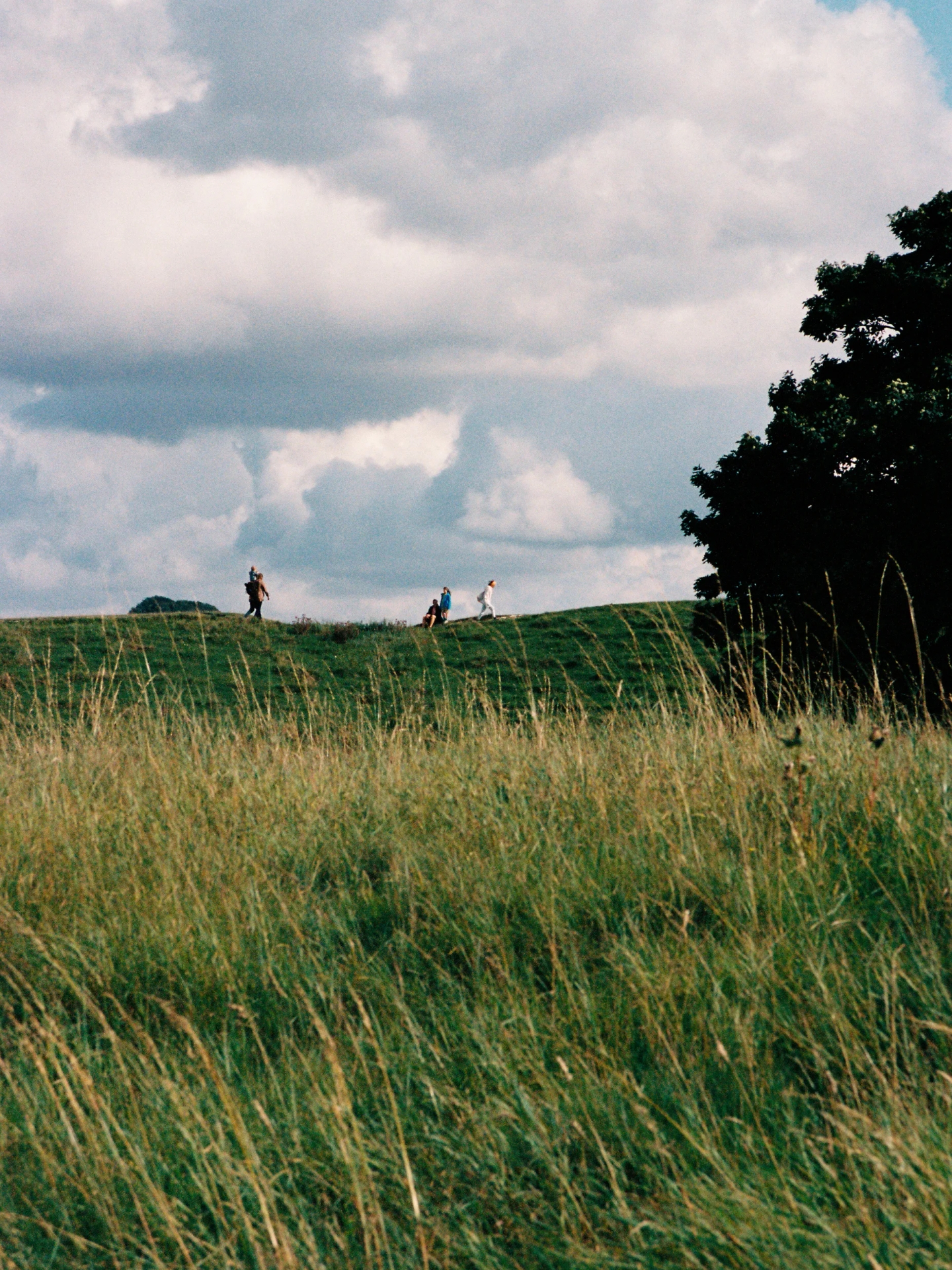 traveler-x-west-uk2